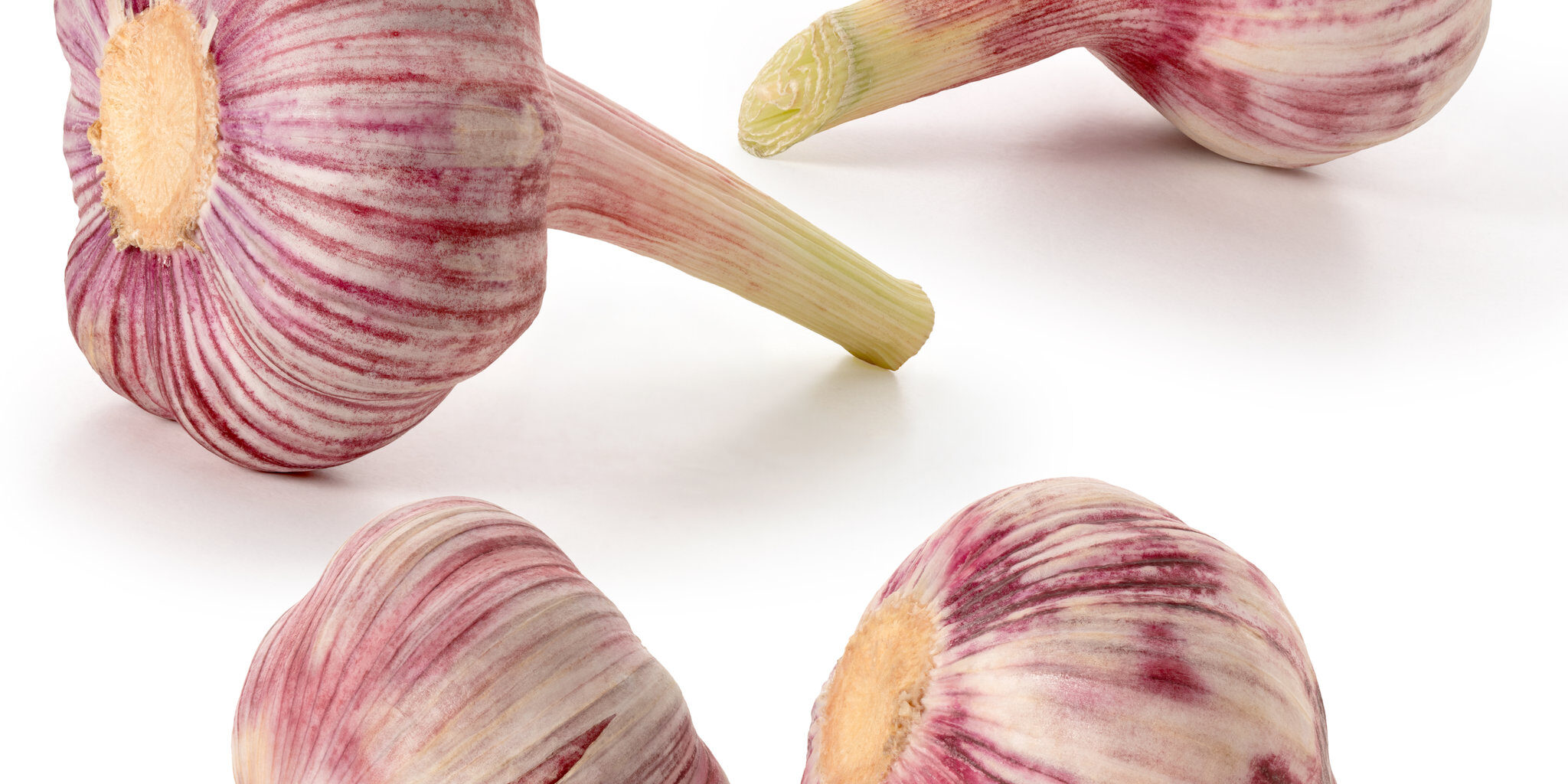 Four heads of fresh red garlic on a white background. Full depth