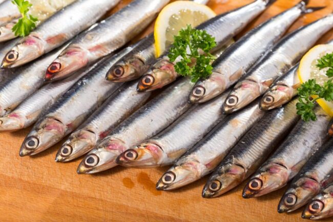 anchovies 11 19 2021